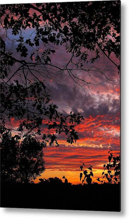 Sunset Metal Print featuring the photograph Fire in the Sky by Jeff Heimlich