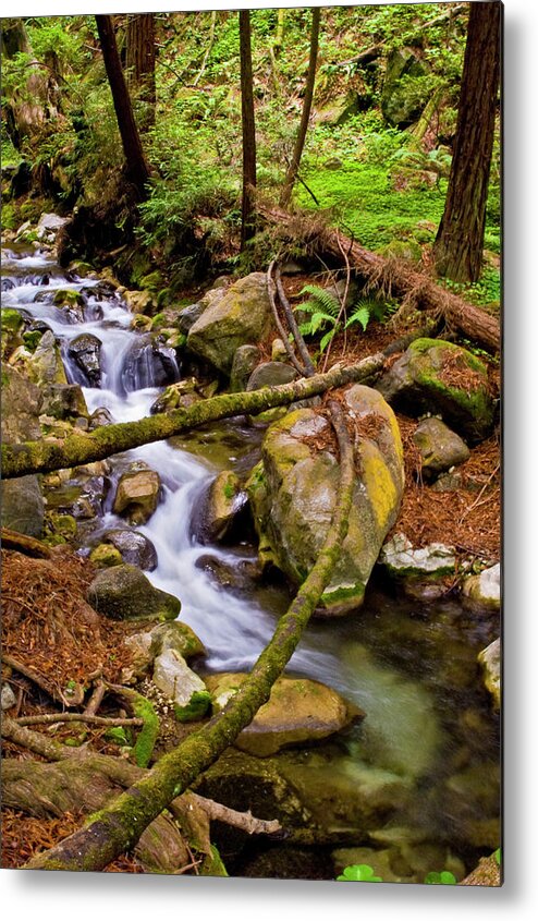  Metal Print featuring the photograph Little creek #1 by Gary Brandes