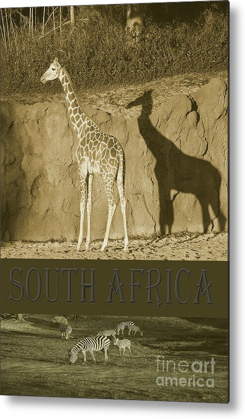 South Africa Metal Print featuring the photograph South Africa #2 by Robert Meanor