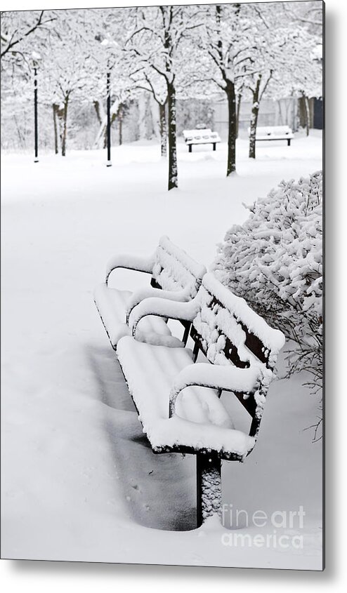 Winter Metal Print featuring the photograph Winter park 8 by Elena Elisseeva