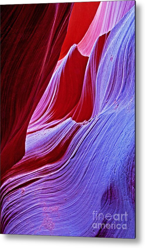 Arizona Metal Print featuring the photograph A Touch of Purple by Bob and Nancy Kendrick