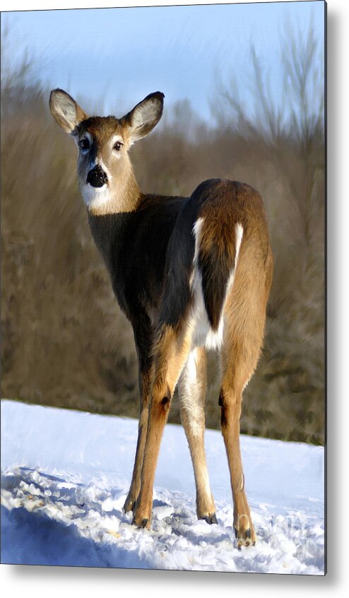 Diane Berry Metal Print featuring the painting Adirondack Beauty by Diane E Berry