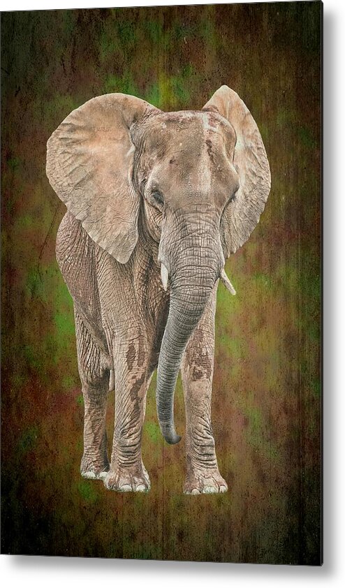 Isolated Metal Print featuring the photograph African Elephant by Rudy Umans