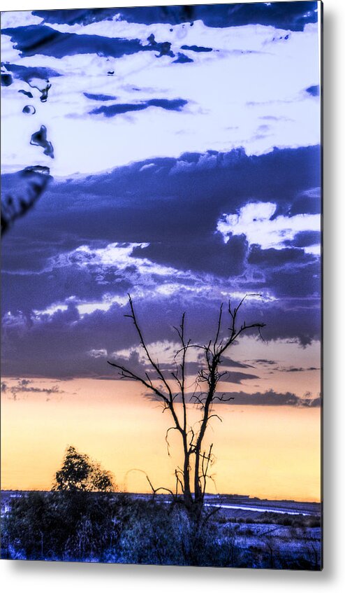 Sunset Metal Print featuring the photograph Alone by Marta Cavazos-Hernandez