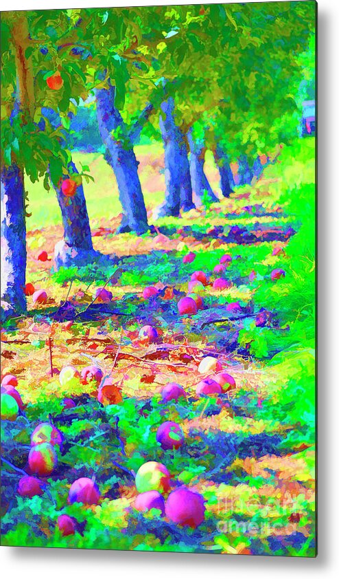 Apple Metal Print featuring the photograph Apple Picking by Traci Cottingham