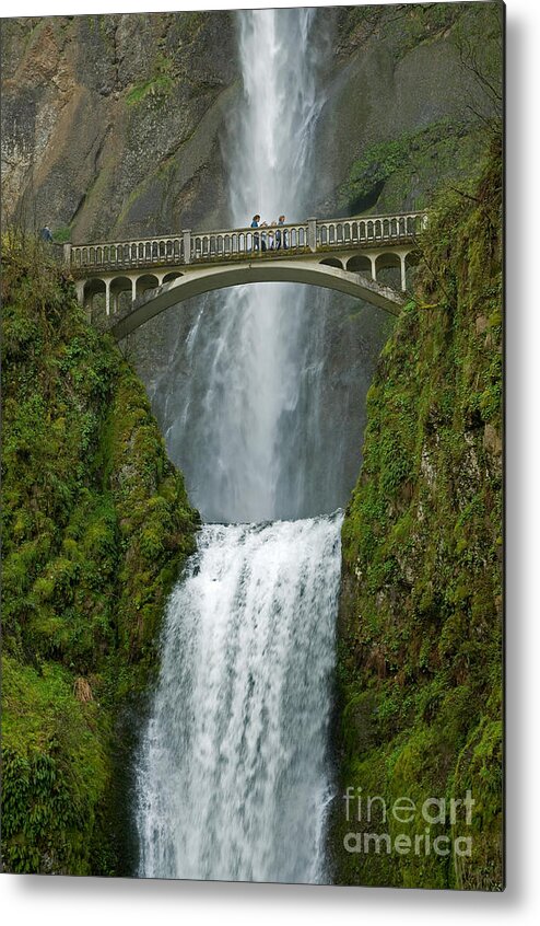 Multnomah Falls Metal Print featuring the photograph Arch Bridge and Multnomah Falls by Ted J Clutter and Photo Researchers