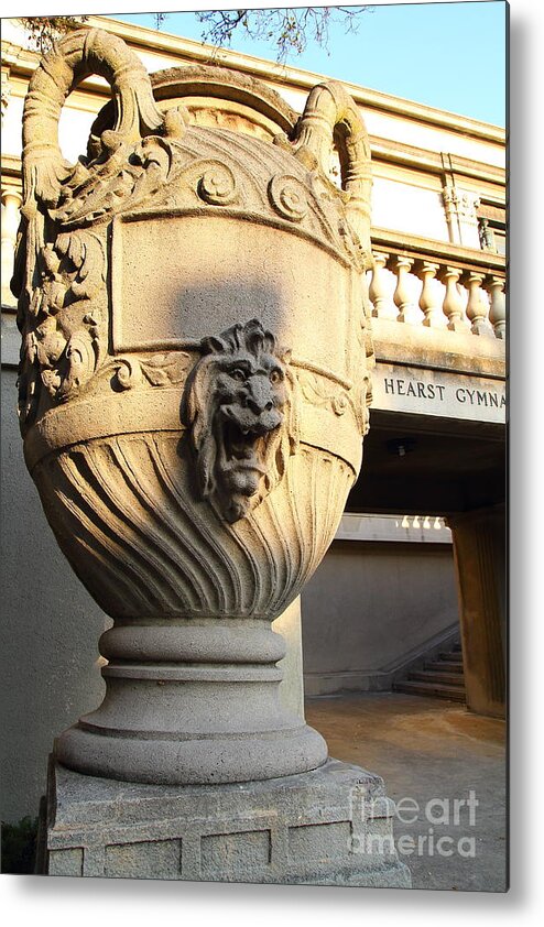 Architecture Metal Print featuring the photograph Architectural Detail . Large Urn With Lion Gargoyle . Hearst Gym . UC Berkeley . 7D10197 by Wingsdomain Art and Photography