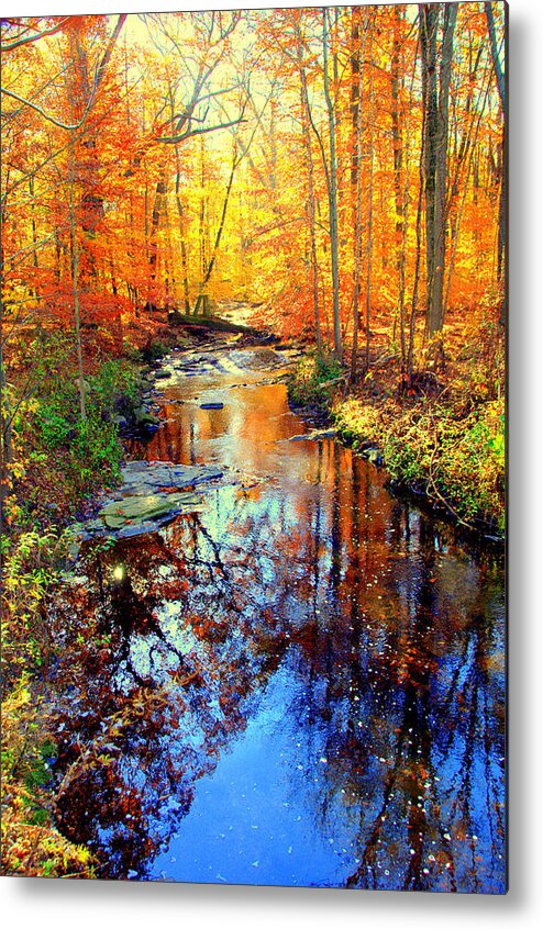  Metal Print featuring the digital art Autumn Colors 11 by Aron Chervin