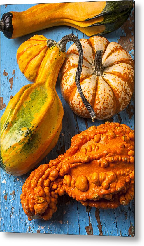 Autumn Gourd Metal Print featuring the photograph Autumn gourds still life by Garry Gay