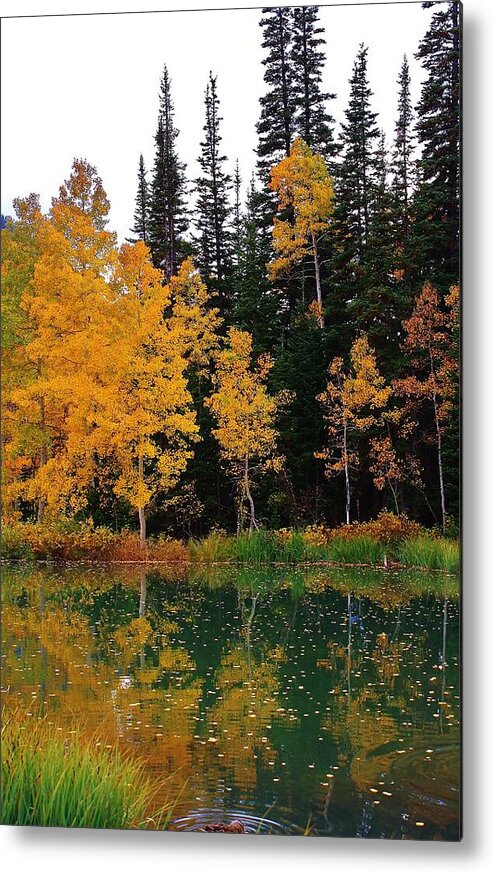 Trees Metal Print featuring the photograph Autumn Reflections by Bruce Bley