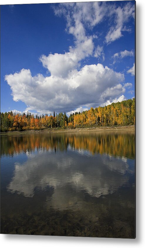 Portrait Waterscape Metal Print featuring the photograph Autumn Reflections portrait by Marta Alfred