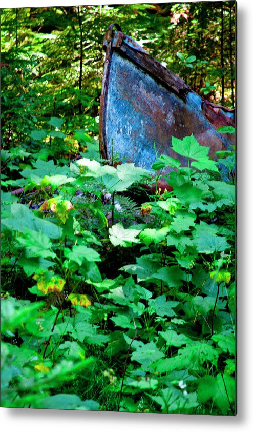 Boat Metal Print featuring the photograph Boat in the Landscape by David Patterson