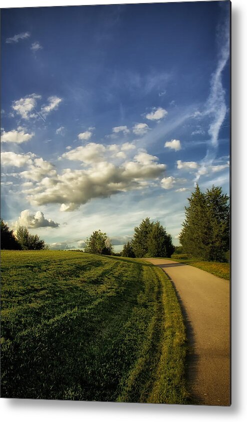Landscape Metal Print featuring the photograph Broemmelsiek Park Walking Track by Bill and Linda Tiepelman