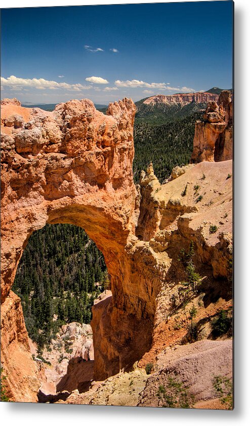 Bryce Metal Print featuring the photograph Bryce Canyon Arch by Larry Carr