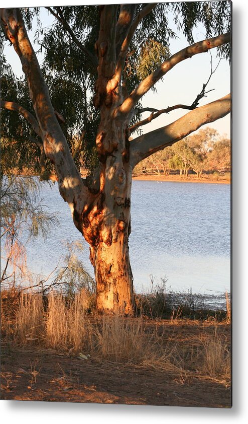 Landscape Metal Print featuring the painting By the Waterhole by Jan Lawnikanis