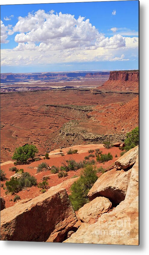 Canyonlands Metal Print featuring the photograph Candlestick Tower Overlook Canyonlands National Park by Louise Heusinkveld