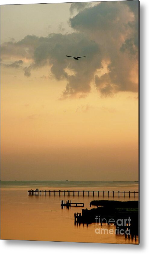 Chincoteaque Metal Print featuring the photograph Chincoteaque Island by Nicola Fiscarelli