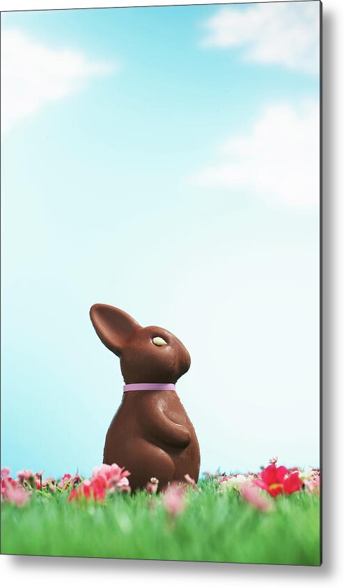 Vertical Metal Print featuring the photograph Chocolate Easter Bunny Amongst Flowers In Grass, Side View by Martin Poole