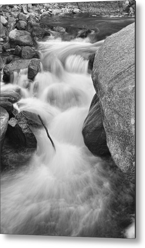 Water Metal Print featuring the photograph Colorado St Vrain River Trance BW by James BO Insogna