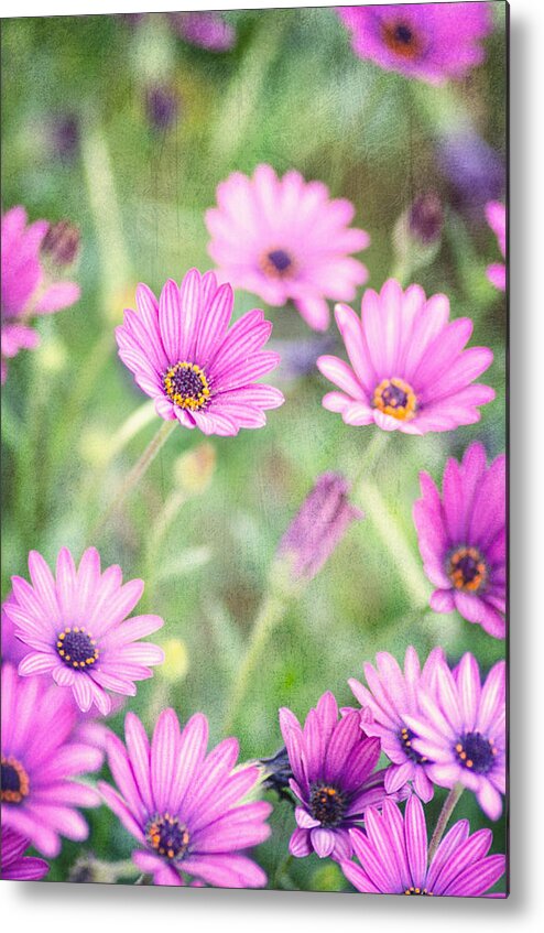 Floral Metal Print featuring the photograph Easter Basket by Joel Olives