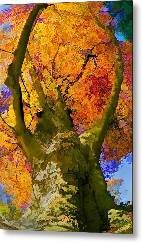 Tree Metal Print featuring the photograph Embracing the color by Steve Zimic