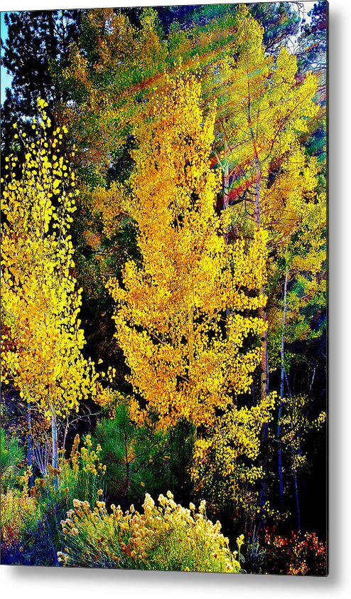 Fall Metal Print featuring the photograph Fall Fantasy by Ellen Heaverlo