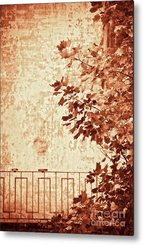 Sepia Metal Print featuring the photograph Fall II by Silvia Ganora