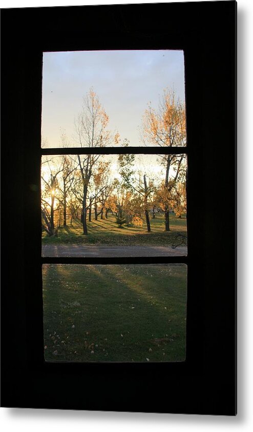 Window Metal Print featuring the photograph Fall through the Window by Ellery Russell