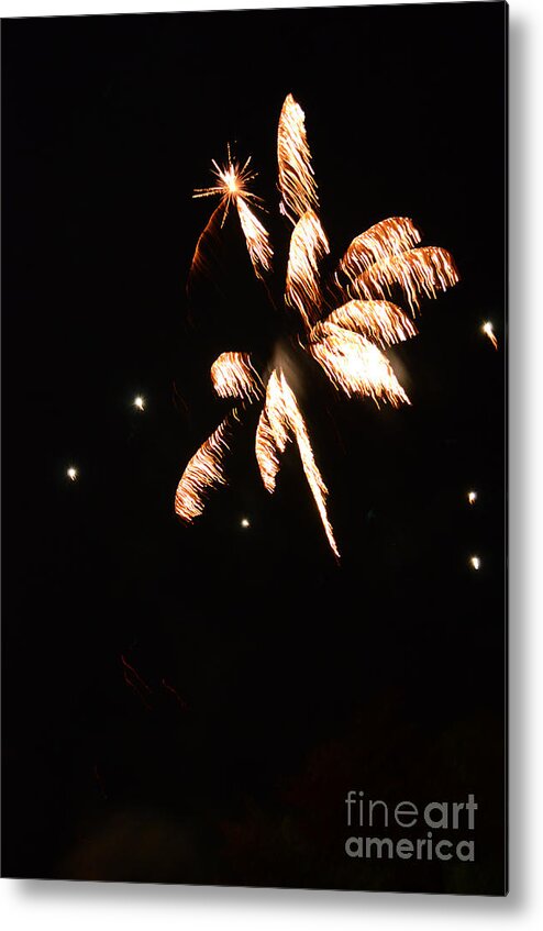 Fireworks Metal Print featuring the photograph Fireworks In Texas by Donna Brown