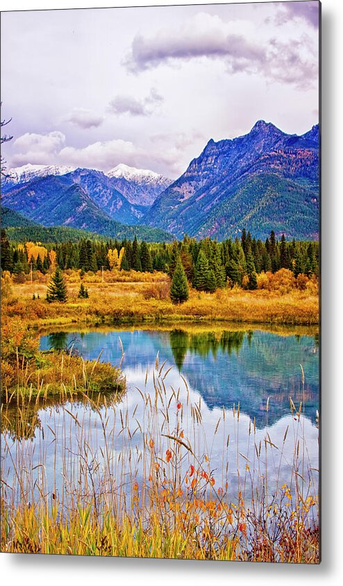 Afternoon Metal Print featuring the photograph First Snow by Albert Seger