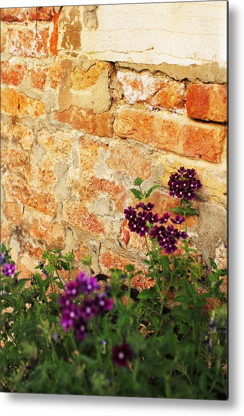 Flowers Metal Print featuring the photograph Flowers On Brick Wall by Jillian Barrile