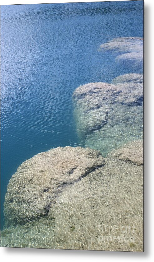 Reef Metal Print featuring the photograph Freshwater Reef by Ted Kinsman