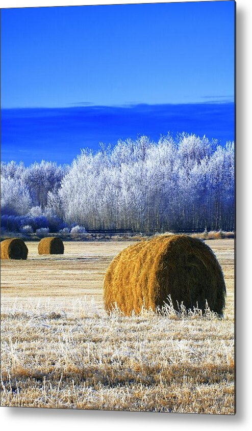 Alberta Metal Print featuring the photograph Frosty Hay Bales by Dean Muz
