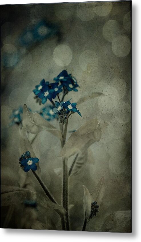 Flower Metal Print featuring the photograph Full Of Spirit by Trish Tritz