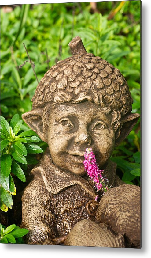 Garden Metal Print featuring the photograph Garden Elf 2 by Douglas Barnett