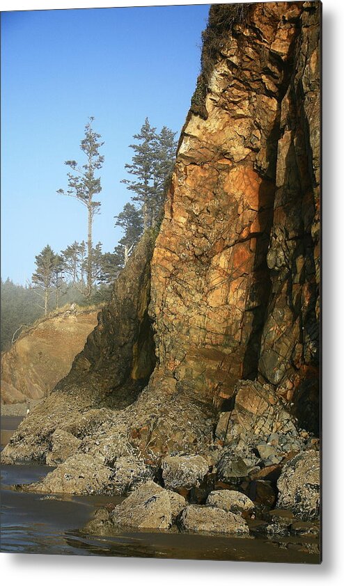 Hug Point Metal Print featuring the photograph Hug Point Outcrop by Steven A Bash