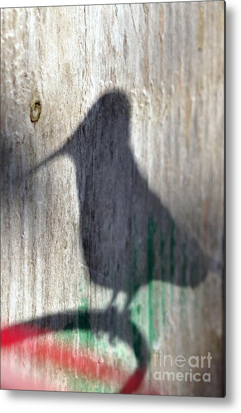 Hummingbird Metal Print featuring the photograph Hummingbird Shadow Silhouette by Laura Mountainspring