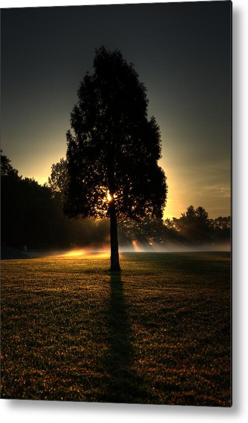 Sunrise Metal Print featuring the photograph Inspirational Tree by Scott Wood