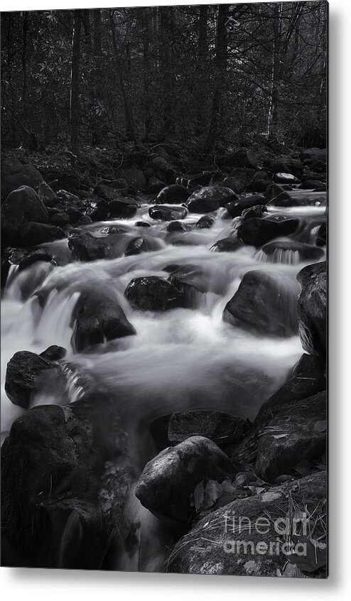 Rushing Water Metal Print featuring the photograph Jones Gap Black and White II by David Waldrop