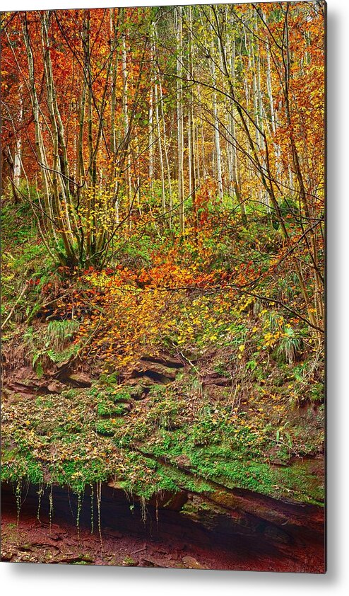 Landscape Metal Print featuring the photograph Kordel by Maciej Markiewicz