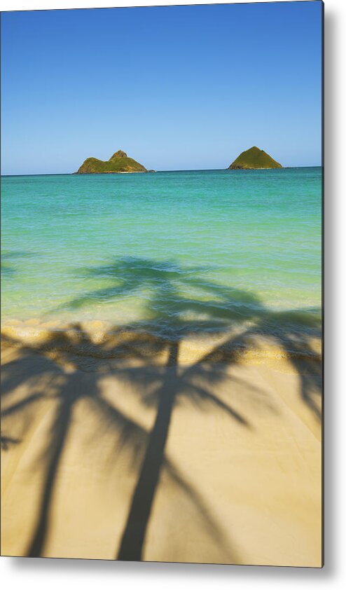 Afternoon Metal Print featuring the photograph Lanikai Palm Shadows by Dana Edmunds - Printscapes