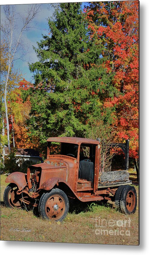 Connecticut Metal Print featuring the photograph Left Outside by Sue Karski