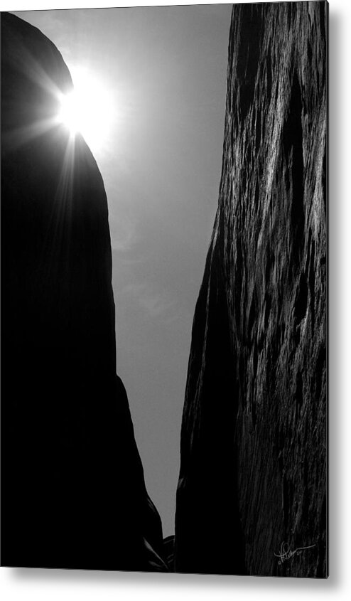 Bw Metal Print featuring the photograph Light of Day by Vicki Pelham