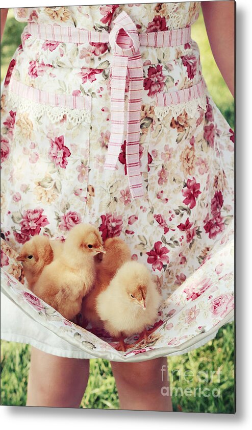 Chick Metal Print featuring the photograph Little Chicks by Stephanie Frey