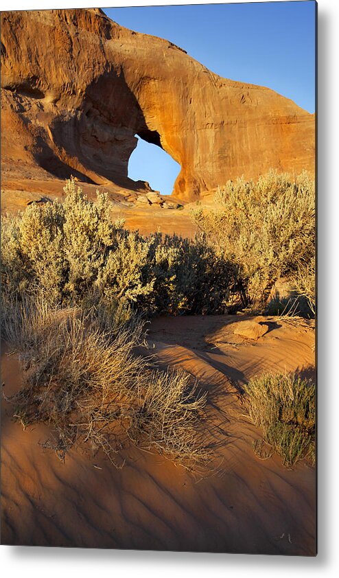 Desert Metal Print featuring the photograph Looking Glass by Mike McGlothlen