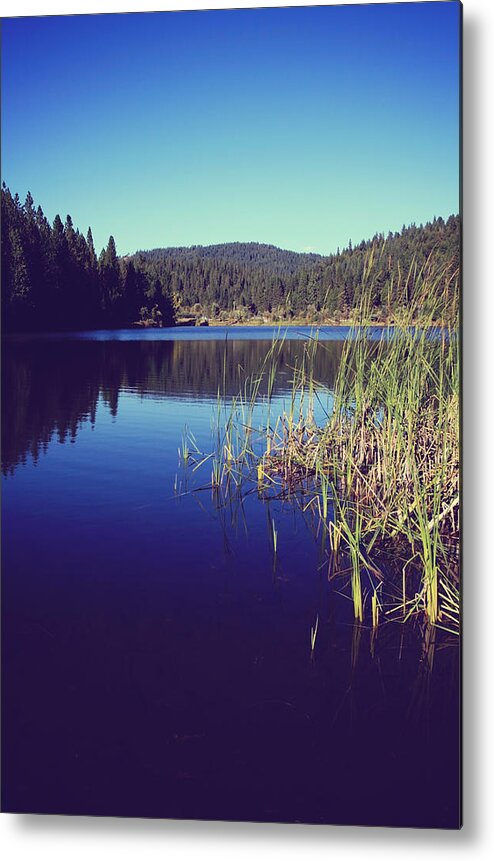 White Pines Lake Metal Print featuring the photograph Love's What We'll Remember by Laurie Search