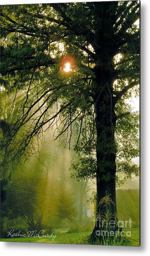 Kathie Mccurdy Metal Print featuring the photograph Magical Tree by Kathie McCurdy