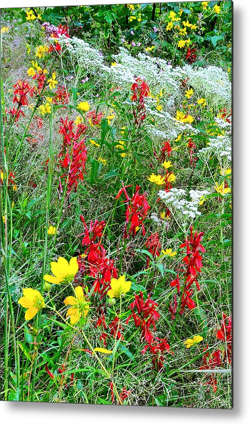 Flower Metal Print featuring the photograph Meadow of Flowers by Alan Lenk
