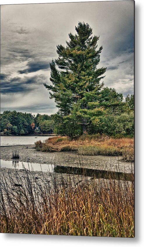 Tree Metal Print featuring the photograph NH Waterway 3 by Edward Myers