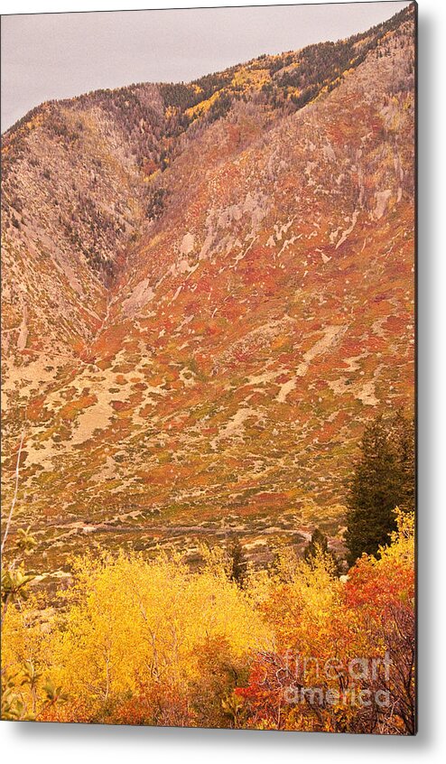Photograph Metal Print featuring the photograph Painted Mountain by Bob and Nancy Kendrick